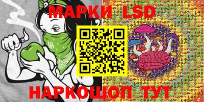 винт Моздок