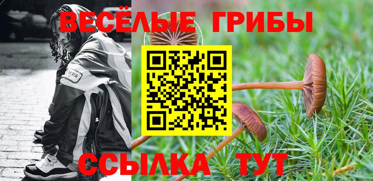 Псилоцибиновые грибы Psilocybine cubensis  Вход с VPN  Кашира  Псилоцибиновые грибы ЛСД 