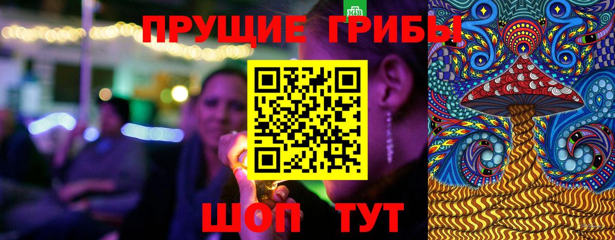 Галлюциногенные грибы Psilocybine cubensis Кашира